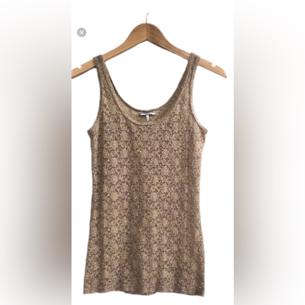 Elegant Tan Glitter Lace Women's Top